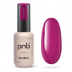 Гел лак PNB 8 мл 376